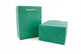 UP29 Подарочный пакет зеленый
