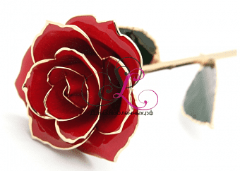 PV06 Подарок любимой - Роза из золота (покрытие)