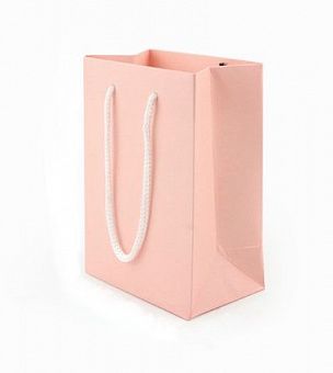 UP28 Подарочный пакет нежно розовый